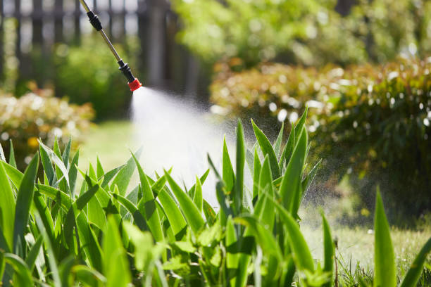 24/7 Emergency Ant Control experts in Madera, CA