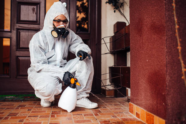 Reliable Ant Control contractor in Madera, CA by Nex Pest Control